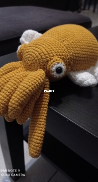 My cuddle fish