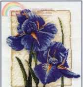 DMC BK104 Iris in bloom