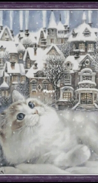 Cat. Good morning by Irina Sumarokova