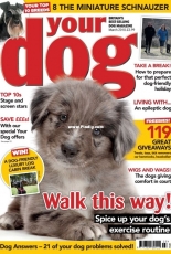 Your Dog - March 2018
