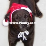 Jenna Wingate Designs - Jenna Wingate - Stocking Cap - Free
