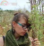 In August Away Cowl by Dawn Catanzaro - Bristol Ivy