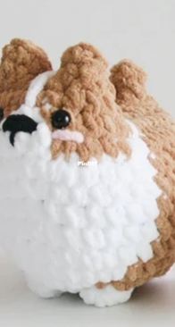 Big Bebez - Yun Young Lee - BbangDaeng the Corgi