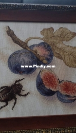 Ekatarina Volkova-Still Life by figs