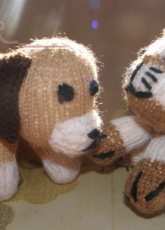 dog and cat are playing