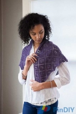 Psh Shawl by Joyce Fassbender /KnitPicks-Free