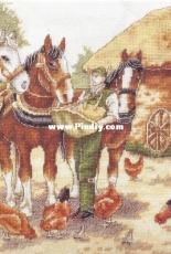 DMC K2941 A Deserved Feed XSD