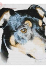 Stitch Studio Cross Stitch  -  Jack Russell - Smooth Coated Cross Stitch