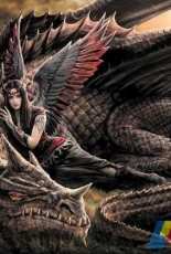 HAED - HAEANSMINI 1237 Mini Winged Companions by Anne Stokes