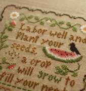 Plant Your Seeds