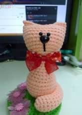 bow cat