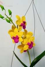 Unknown Designer - Orchid - Vietnamese