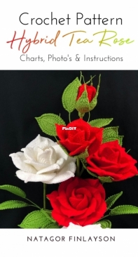 Natagor Finlayson - Hybrid Tea Rose