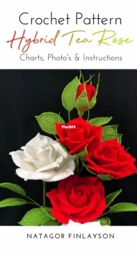 Natagor Finlayson - Hybrid Tea Rose