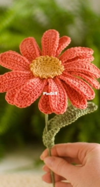 Papillon Feito a Mao - Isis Kranz/Soares - Gerbera Flower - Flor Gérbera - Portuguese