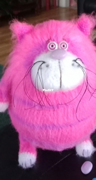 Fluffy cat,  all finished