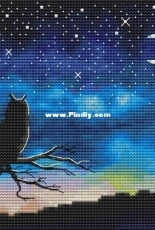 Night Owl by Yulia Solovey / Юлия Соловей