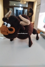 new bull for my little brother