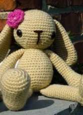 Dear Bunny