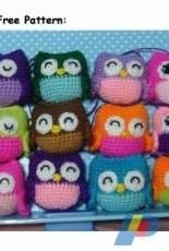 Amy Chou - Little Owl - Free