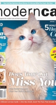 Modern Cat - Spring/Summer 2026