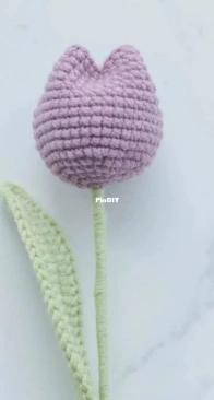 Hookok - Elaine and Jennie - Stuffed Tulip - Free
