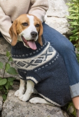 Dale Gull 370-08 Dale Cortina hundegenser by Anne-Kirsti Espenes – Norwegian – free