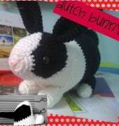 Dutch bunny