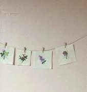 my wall decoration.