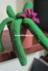 Knitted Cactus