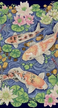 Anchor APC918 KOI XSD