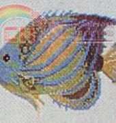 Annie Designs - Sealife Blue - Ringed Angelfish