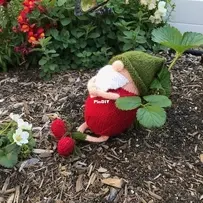 S. Trawberry by Sharon Mooney-Free