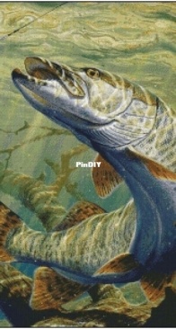 Chimera- Pike