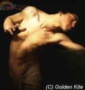 Golden Kite  GK 1638 Narcissus