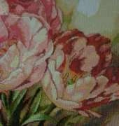 Beautiful Tulips