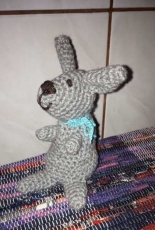 Rabbit