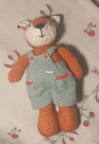 My new foxboy