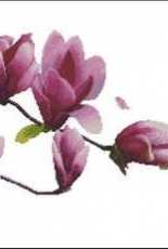 KCO 3D618219 - Magnolia & Butterflies