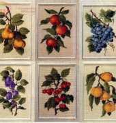 6 x Fruits
