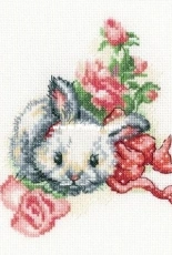 RTO C289 Fluffy Gift in PCS
