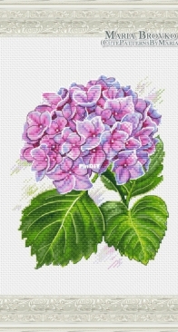 Awesome hydrangea by Maria Brovko