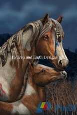 HAED Apache by Lisa Parker