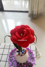 happy Valentine daya