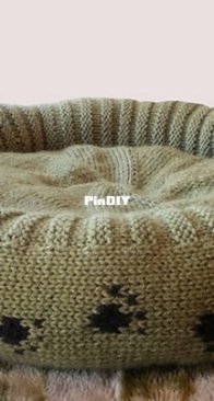 Plush Bed for a Cat or Dog By Shiri Mor
