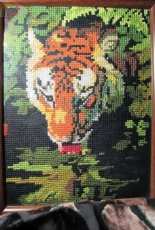 Luxury tiger
