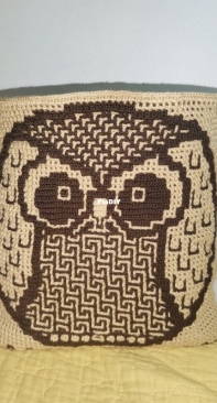 interloching Owl crochet bag