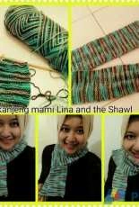 My first knit Shawl