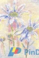 Derwentwater WCD Shasta Daisies Watercolour),