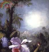 Golden Kite GK 1647 - Orchids, Passion Flowers and Hummingbird